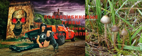 герыч Арсеньев