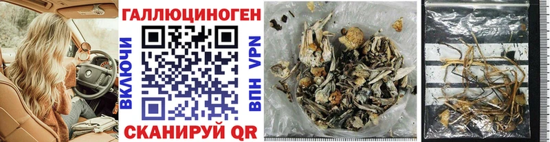 Галлюциногенные грибы Psilocybe  shop телеграм  Среднеколымск 
